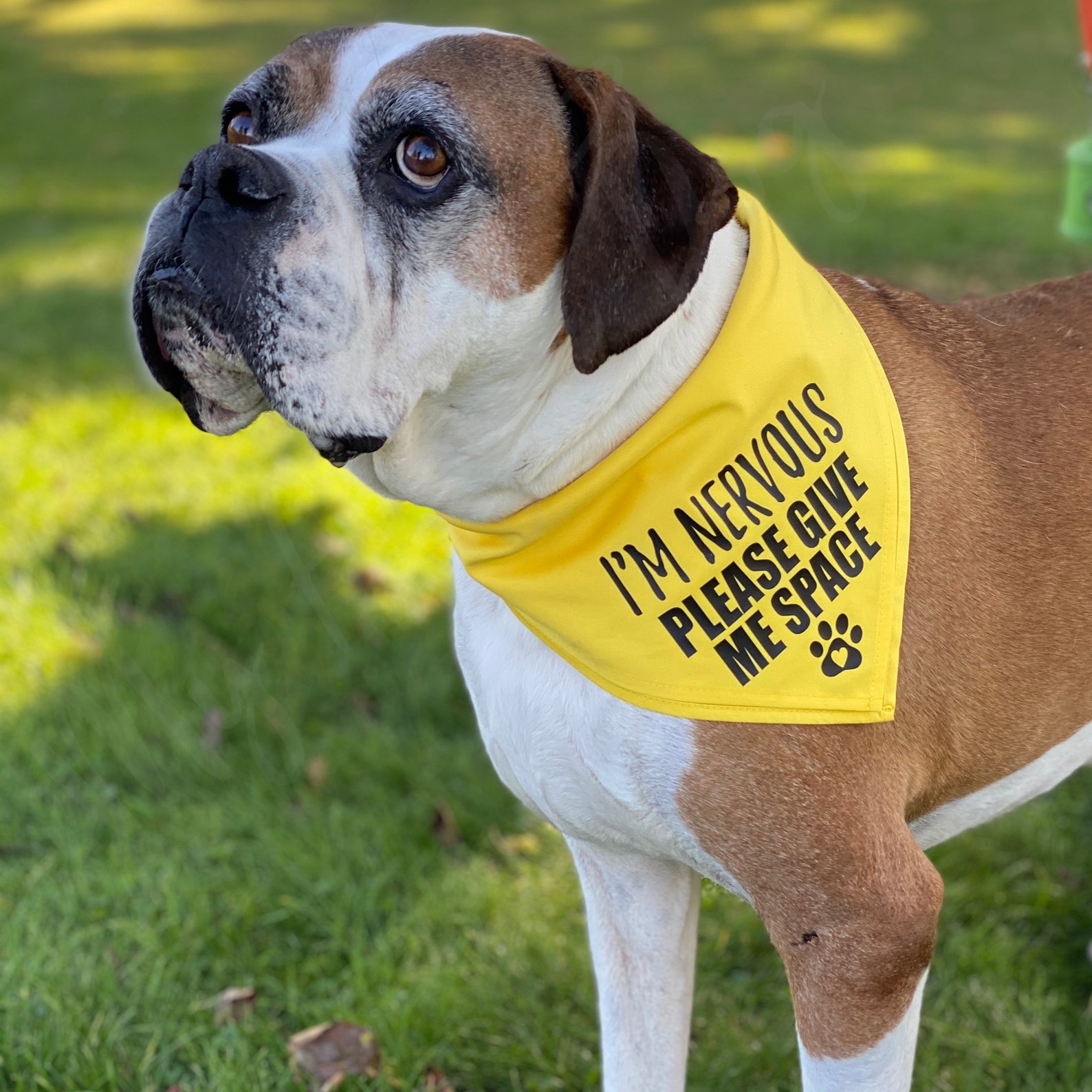 I'M NERVOUS Dog Bandana for Large Dogs Please Give Me Etsy