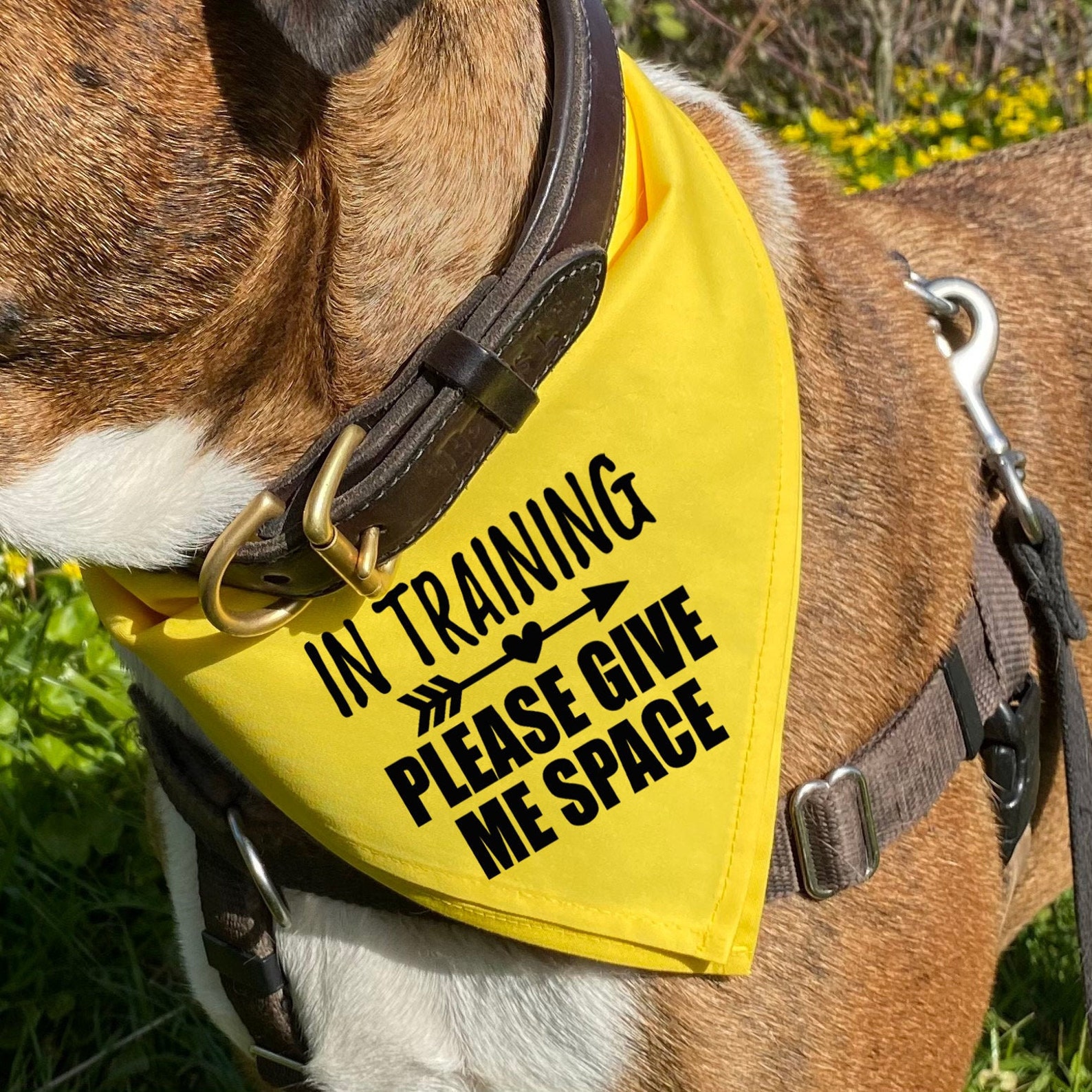 IN TRAINING Dog Bandana for Large Dogs Rescue Dog In Etsy