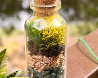 Mini Moss Terrarium/ Bottled Terrarium/ Gifts for Them