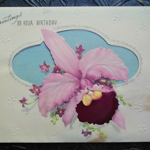 Saudações pelo seu aniversário - Cartão comemorativo vintage não utilizado dos anos 1940 - Orquídea com inserção de veludo - Envelope original de cartão artístico