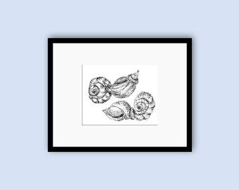 Seashell Pen Drawing Print, Coastal Art Work, Botanical Seashore, Beach House Decor, Marine Life Art, Nautical Art, Lake House Decor