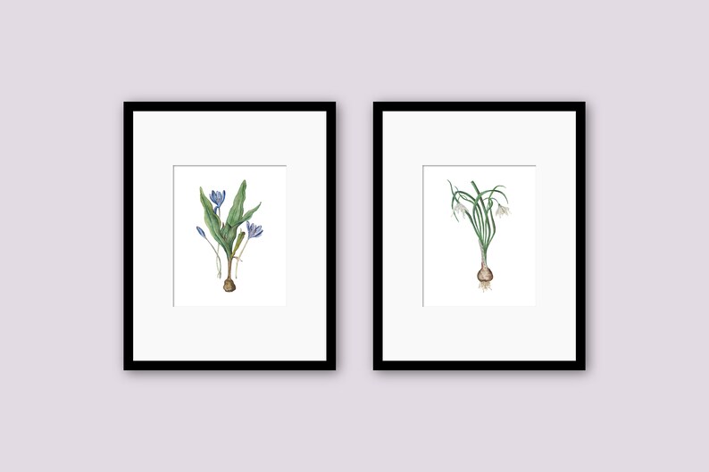 Home Decor Living Room Art Lemon Tree Galleria Flower Botanical Watercolor Prints Set of 2 Wall Art Bedroom Art