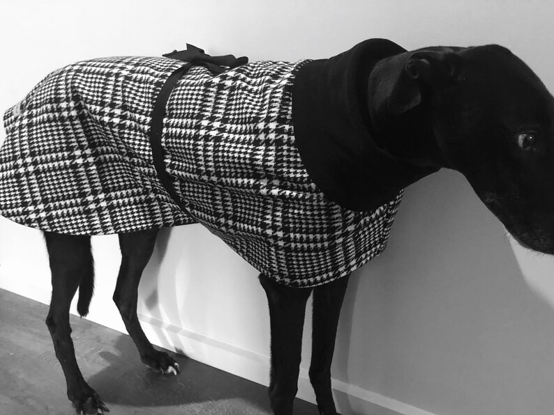 Greyhound or Whippet coat grey and black wool check