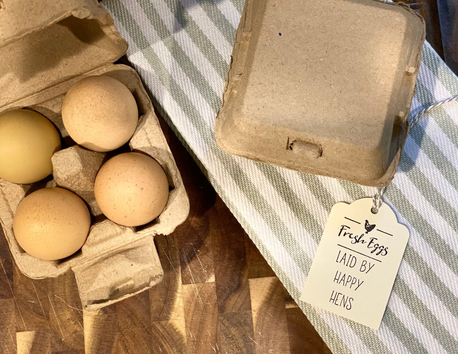 4cell Egg Cartons Blank Tops Paper Pulp Pack of 10 Fresh Etsy