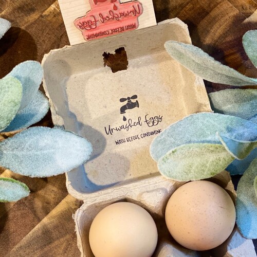 Mini Egg Stamp Hen Fruit Chicken Coop Stamp Stamp for Etsy