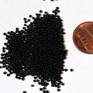 以下が含まれることがあります： 黒いシードビーズの山が、アメリカの1セント硬貨の横に置かれています。
