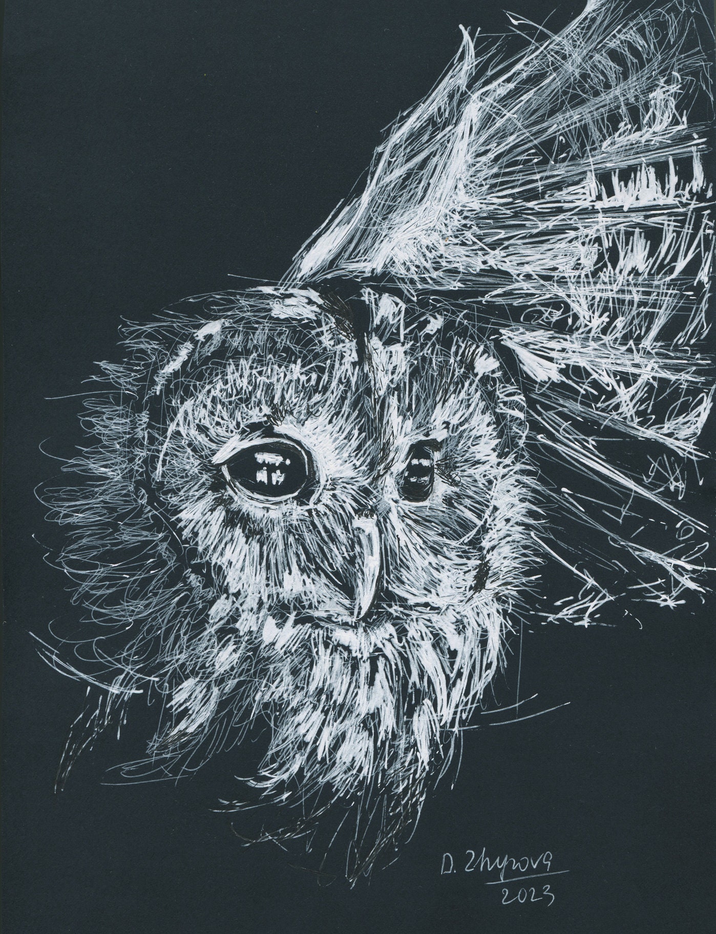 Original Owl Line Drawing Art, Owl Wall Art for Men, Sketch Art