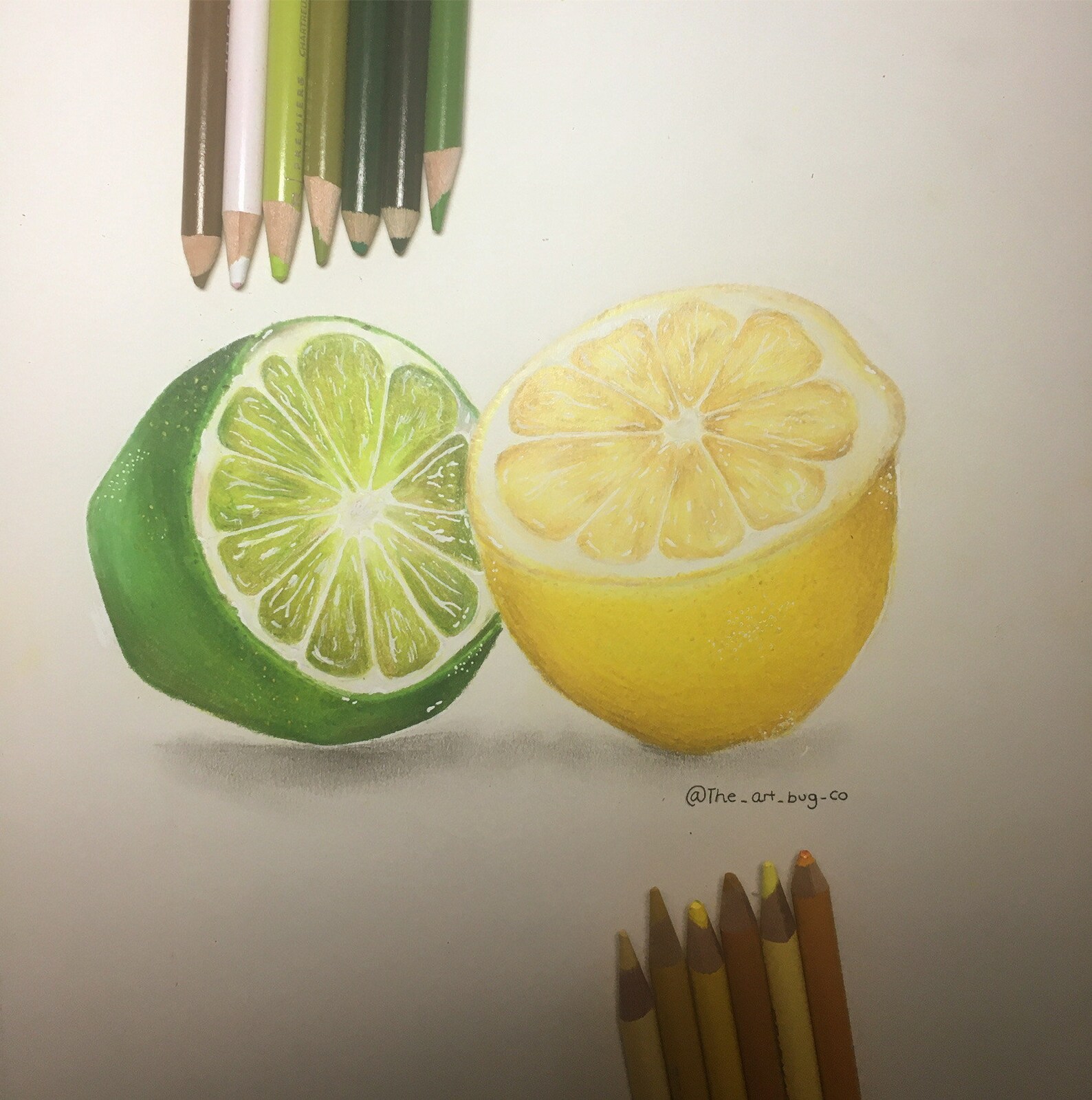Print: Lemon Lime Realism Colored Pencil Artwork | Etsy