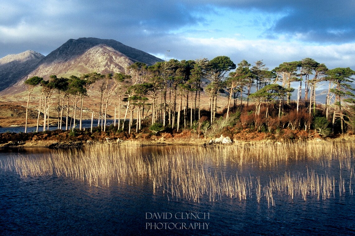 Connemara National Park, Galway, Ireland, Irish Landscape Photography