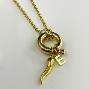 Colorful lucky horn and initial necklace in 925 silver plated in 18k gold, unisex necklace, personalized lucky necklace.