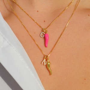 Può includere: Due collane d'oro con ciondoli. Un ciondolo è un peperoncino rosso e l'altro è un peperoncino rosso in oro con una lettera "N" tempestata di diamanti.