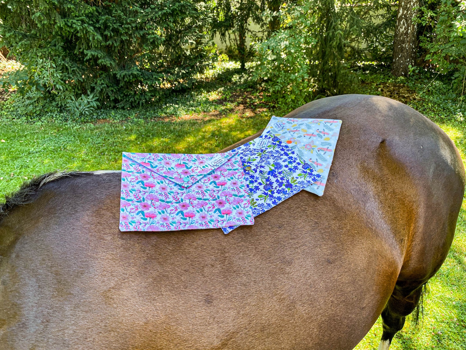 Horse passport cover / equine passport cover / personalized & Etsy