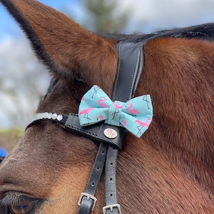 May include: A brown horse wearing a black leather bridle with a light blue bow tie featuring pink flamingos. The bow tie has a small silver charm with the letters "MT" on it.