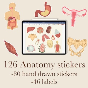 Puede incluir: Una pantalla de tableta digital que muestra un conjunto de 126 pegatinas de anatomía, que incluyen 80 pegatinas dibujadas a mano y 46 etiquetas. Las pegatinas presentan diversas ilustraciones anatómicas, incluidos órganos, huesos y músculos.