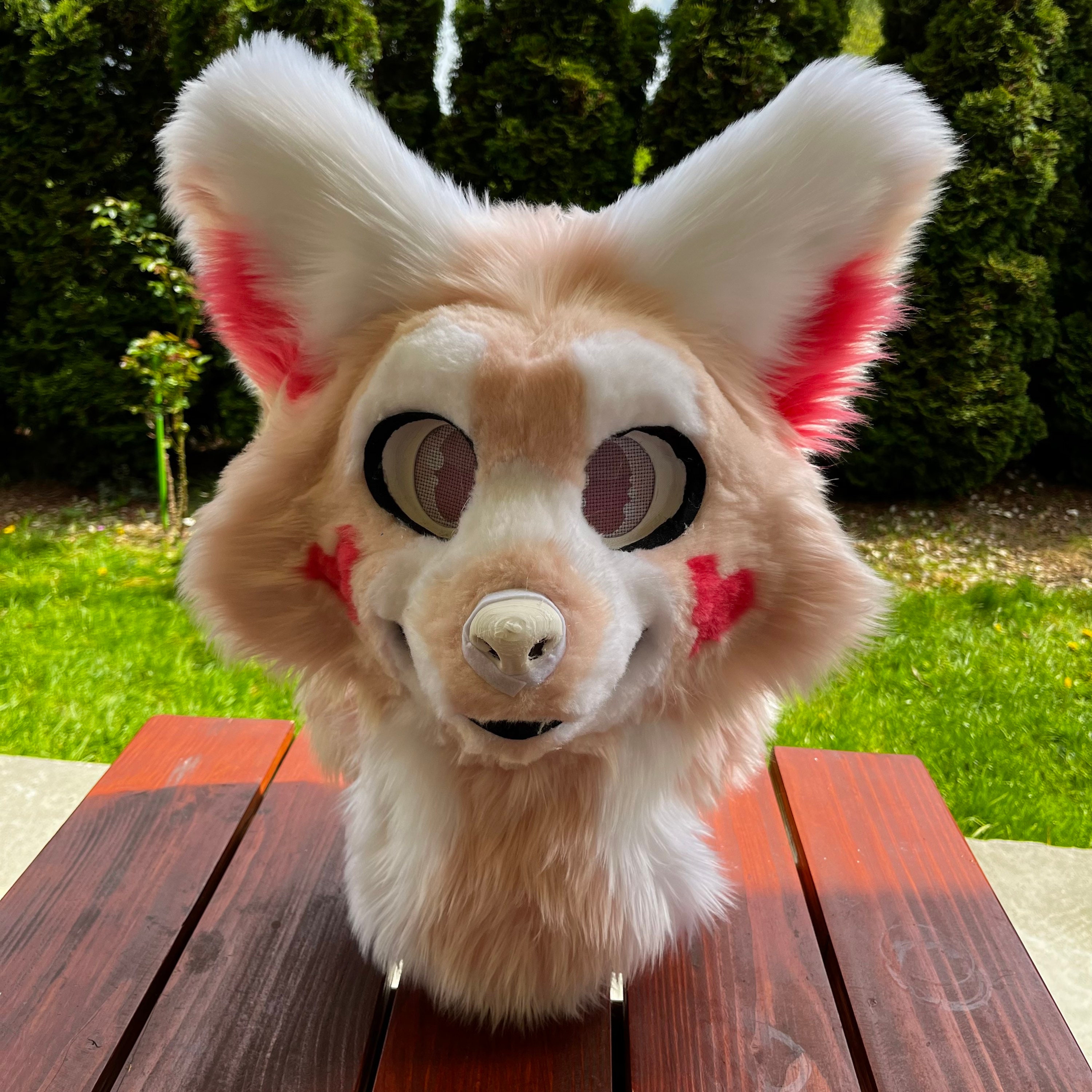 Premade Fennec Fox Fursuit Head Etsy UK