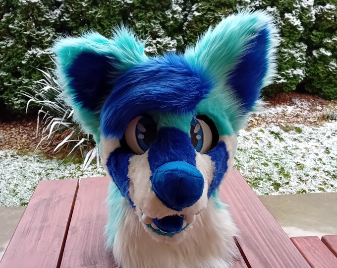 Premade Blue Canine Fursuit Head Etsy