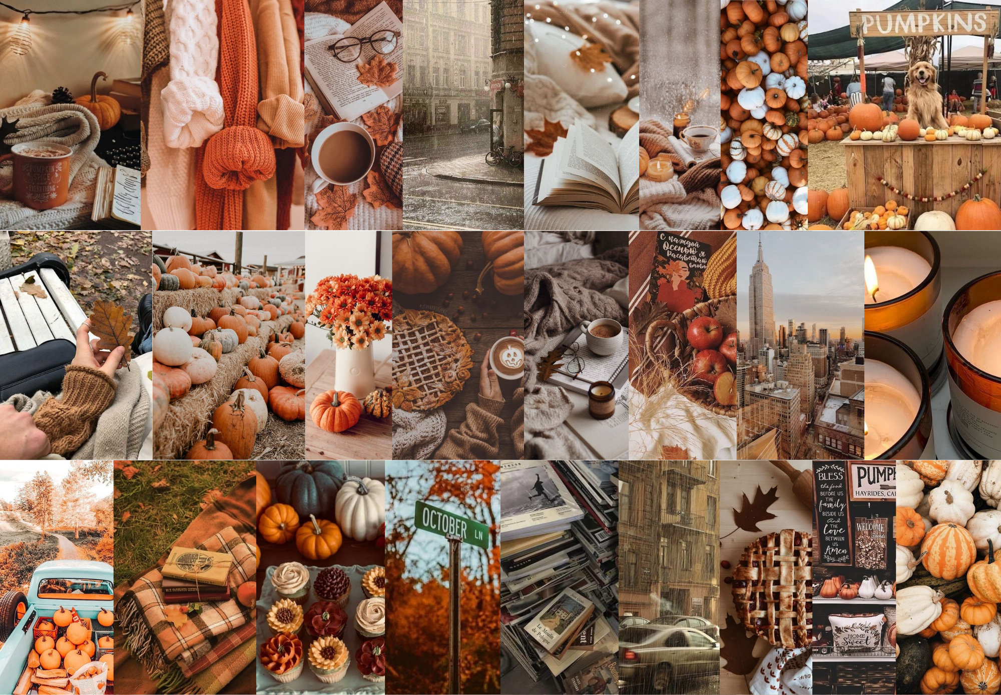 Fall Aesthetic Wall Collage Kit digital 50pcs - Etsy