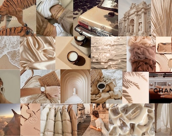 May include: A collage of images in beige and brown tones. The images include a tiger, a vintage car, a building with arches, a cup of coffee, a beach, a watch, a pair of sunglasses, a piece of clothing, and a glass of iced coffee.