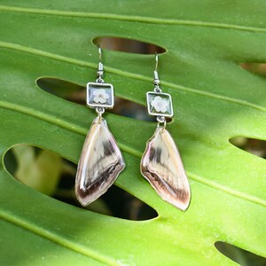 Hawk Moth Wing & Plum Blossom Earrings | Oddity Jewelry | Butterfly Jewelry | Resin Earrings | Boho Earrings | Nature Lover Gift