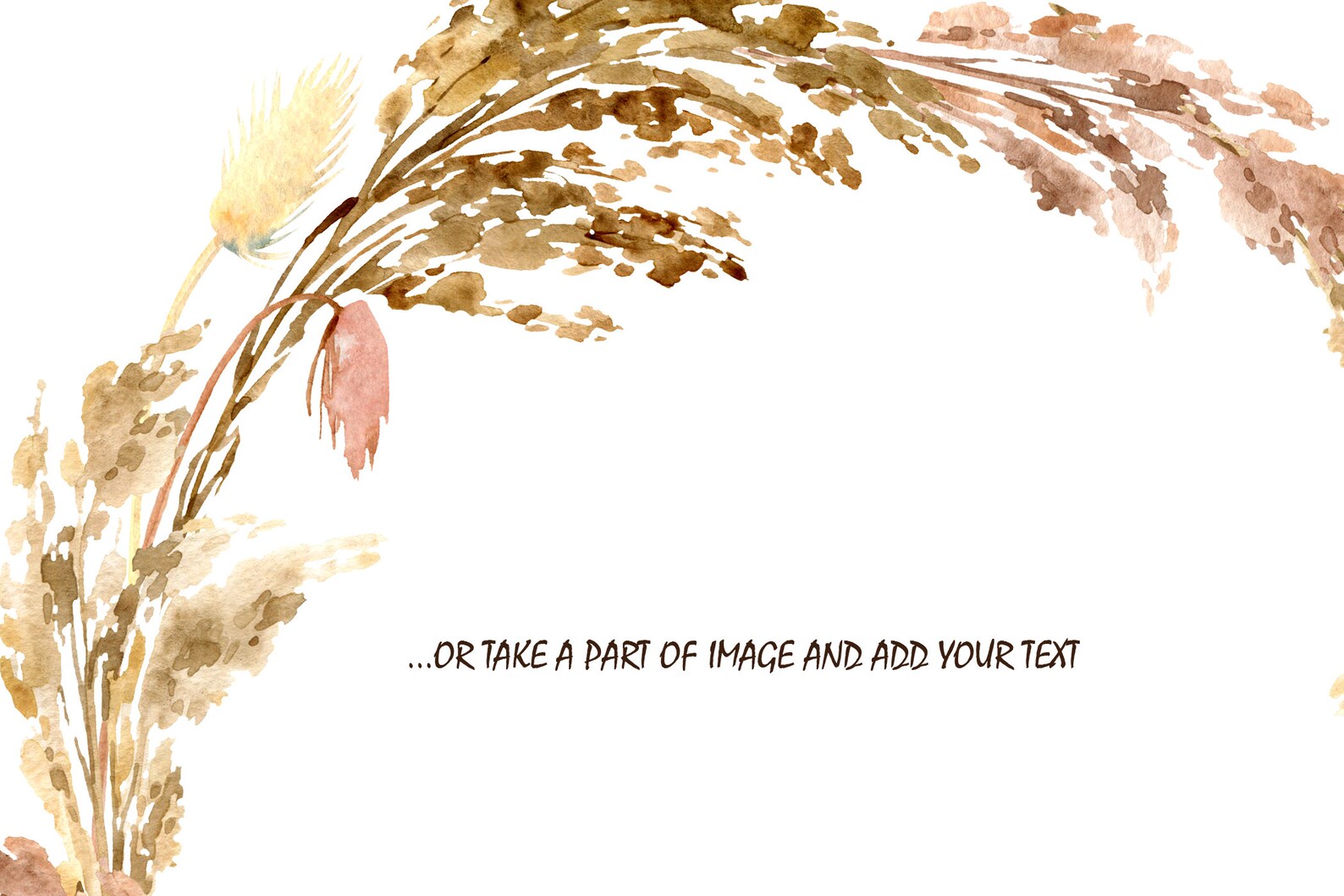 Pampas Grass Border Clipart Watercolor Boho Neutral Colors Etsy