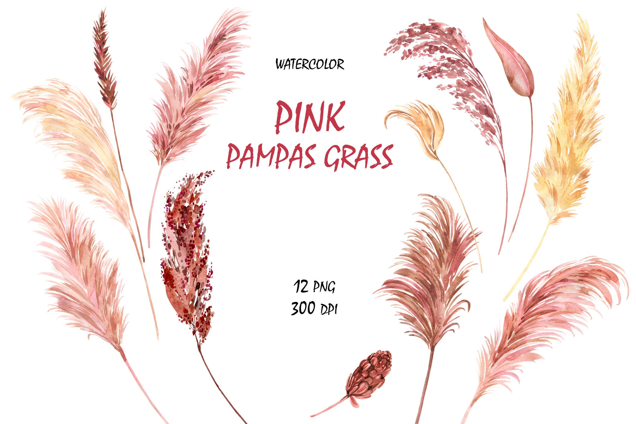 Pink Pampas Grass Clipart Watercolor Boho Neutral Colors Etsy