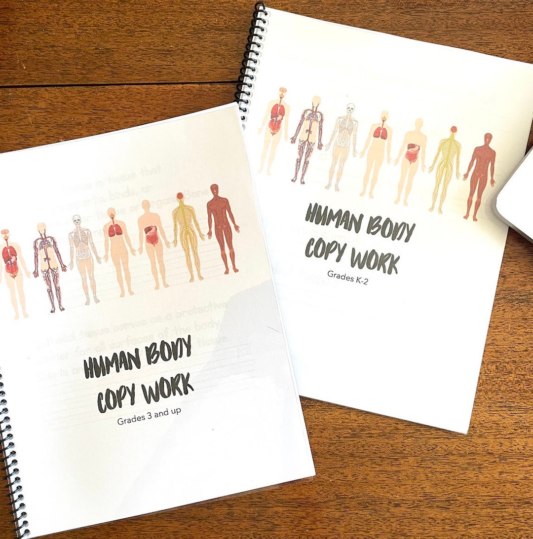 Human Body Copy Work Grades 3 and Up - Etsy