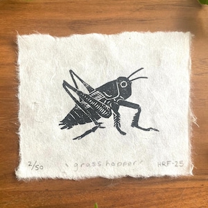 Grasshopper Mini Linocut - garden bug lino print, original insect art, cute wildlife gift