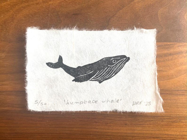 Puede incluir: Una impresi&oacute;n en lin&oacute;leo en blanco y negro de una ballena jorobada sobre un fondo de papel blanco. La impresi&oacute;n est&aacute; numerada 5/50 y firmada "HRF 25".