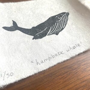 Puede incluir: Una ilustraci&oacute;n en blanco y negro de una ballena jorobada sobre un fondo blanco. La imagen est&aacute; numerada 1/50 e incluye el texto "humpback whale".