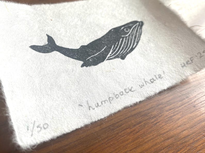 Puede incluir: Una ilustraci&oacute;n en blanco y negro de una ballena jorobada sobre un fondo blanco. La imagen est&aacute; numerada 1/50 e incluye el texto "humpback whale".