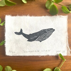 Puede incluir: Una impresi&oacute;n en lin&oacute;leo en blanco y negro de una ballena jorobada sobre un fondo de papel blanco. La impresi&oacute;n est&aacute; numerada 5/50 y firmada "humpback whale" y "JRF '25".