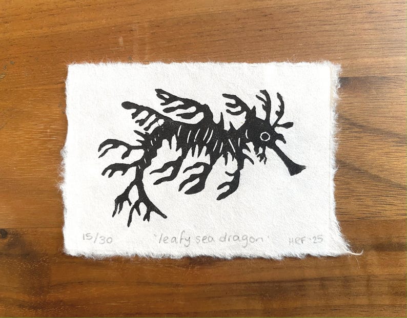 Pode incluir: Impress&atilde;o a preto e branco de um drag&atilde;o-marinho frondoso em papel branco. A impress&atilde;o &eacute; numerada 15/30 e assinada "leafy sea dragon" e "HFF-25".