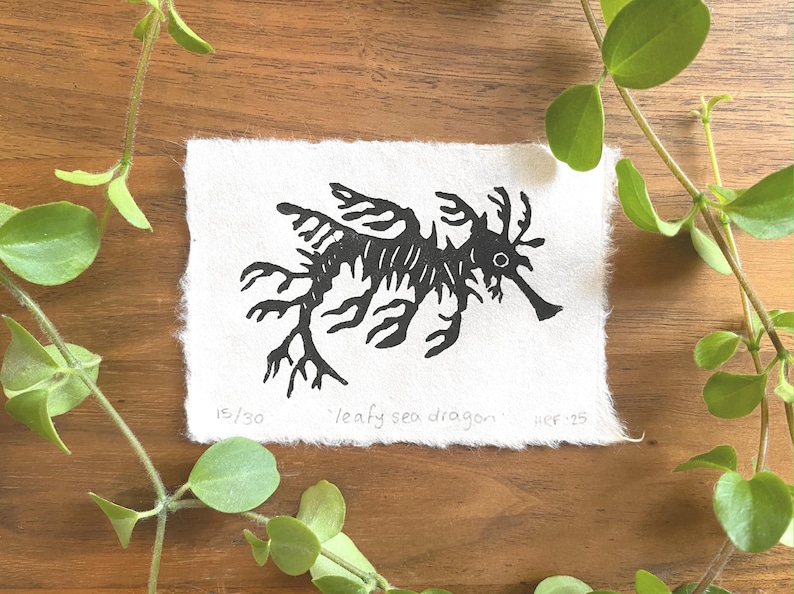 Pode incluir: Uma impress&atilde;o em preto e branco de um drag&atilde;o-marinho frondoso sobre um fundo branco. A impress&atilde;o &eacute; numerada 15/30 e intitulada "leafy sea dragon" com o n&uacute;mero "ref: 25" abaixo do t&iacute;tulo.
