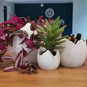 May include: Three white ceramic planters on a wooden table. One contains a trailing plant with purple and green leaves, another holds a green succulent, and the third is filled with pens and markers. The background features a dark teal wall.