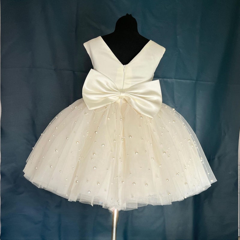 Ivory Blossom Embellished Baby Dress