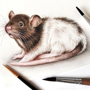 Custom pet portrait, rat portrait painting from photo, watercolor guinea pig portrait, hamster painting, custom pet portrait hand painted