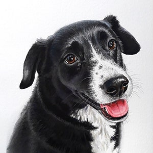 Watercolor pet portrait from photo, dog portrait painting custom, original pet portrait hand painted, custom dog portrait from photo
