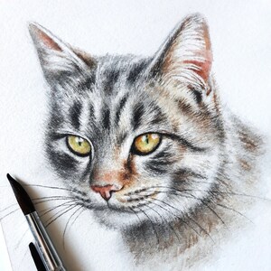 Custom cat portrait painting hand painted, watercolor pet portrait from photo, cat memorial painting, pet loss art from photo