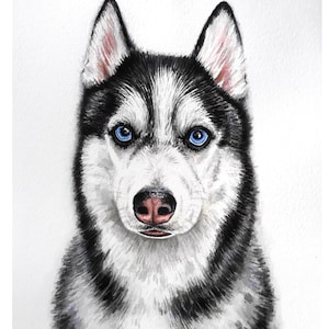 Watercolor pet portrait from photo, dog portrait painting custom, personalized pet painting, pet portrait hand painted