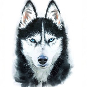 Watercolor pet portrait from photo, dog portrait painting custom, personalized pet painting, pet portrait hand painted