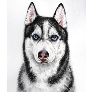 Watercolor pet portrait from photo, dog portrait painting custom, personalized pet painting, pet portrait hand painted
