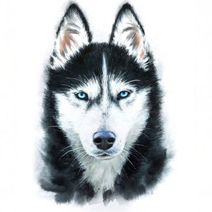 Watercolor pet portrait from photo, dog portrait painting custom, personalized pet painting, pet portrait hand painted