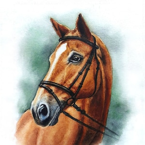 Horse portrait custom, pet portrait custom, horse painting from photo watercolor, couples horse portrait,  personalized horse lover gift