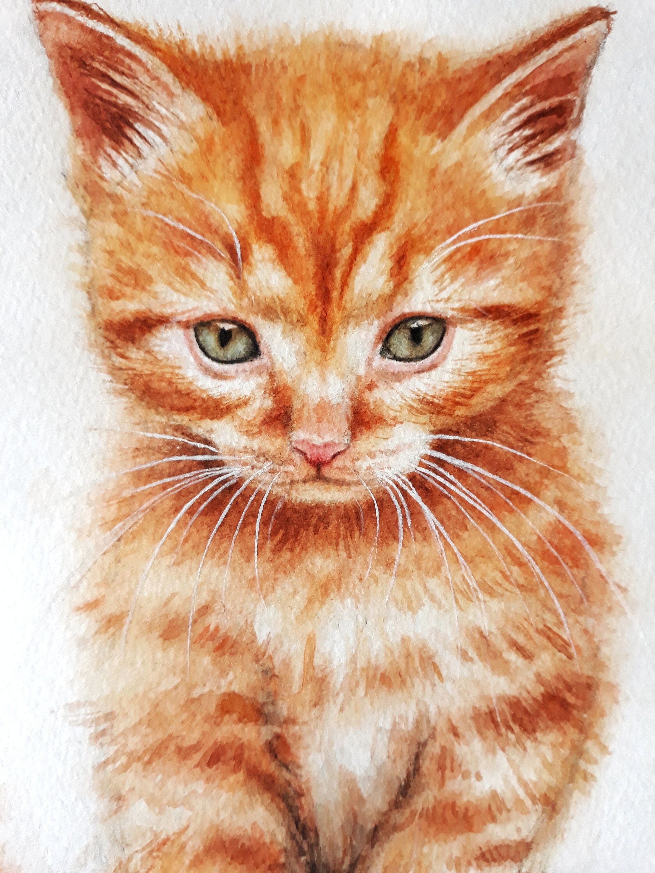 Cat portrait from photo hand painted cat portrait painting Etsy