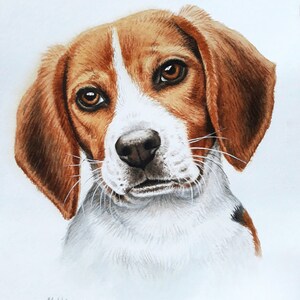 May include: Watercolor painting of a beagle dog with brown and white fur. The dog has brown eyes and a white nose. The painting is on a white background.