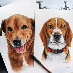 May include: Two watercolor paintings of dogs. The first painting is of a brown dog with a white patch on its chest. The dog is smiling and has its tongue sticking out. The second painting is of a beagle with brown, white, and black fur. The beagle is looking directly at the viewer with a serious expression. Both paintings are signed by the artist.