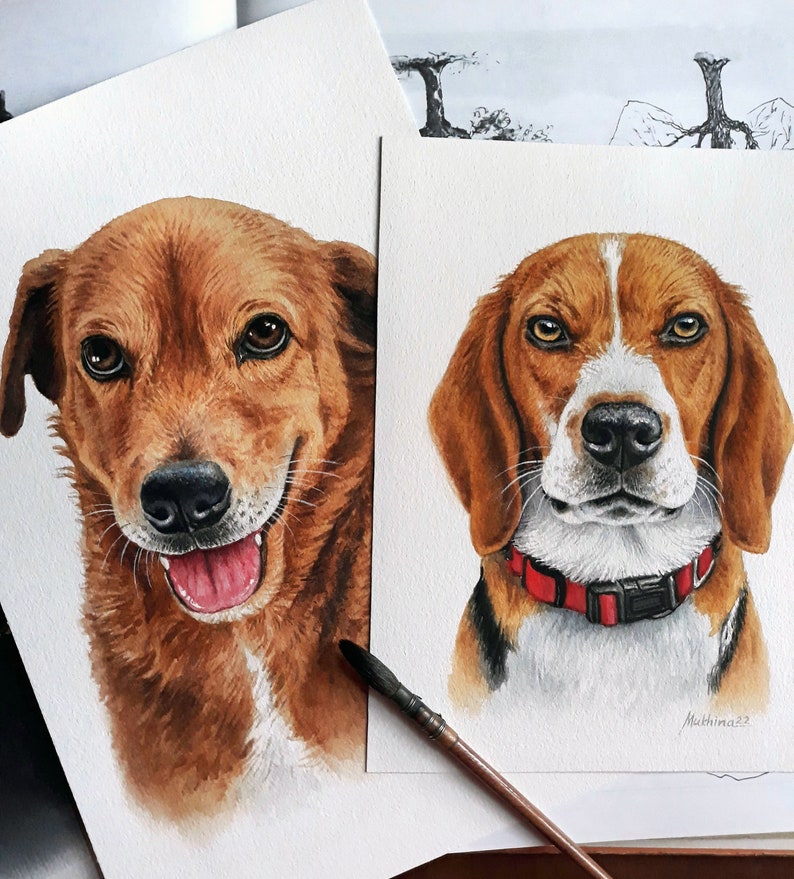 May include: Two watercolor paintings of dogs. The first painting is of a brown dog with a white patch on its chest. The dog is smiling and has its tongue sticking out. The second painting is of a beagle with brown, white, and black fur. The beagle is looking directly at the viewer with a serious expression. Both paintings are signed by the artist.