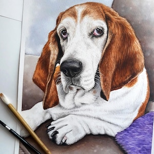 Watercolor pet portrait from photo, dog portrait painting custom, personalized pet painting, pet portrait hand painted