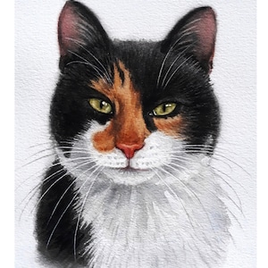 Ritratto di gatto personalizzato da foto, dipinto di un animale domestico personalizzato ad acquerello, ritratto di gatto originale, disegno di un animale domestico dipinto a mano, ritratto commemorativo di un gatto