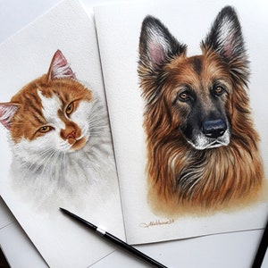 May include: Two watercolor paintings, one of a ginger cat and one of a German Shepherd dog. The cat is looking to the right, and the dog is looking straight ahead. Both paintings are on white paper.